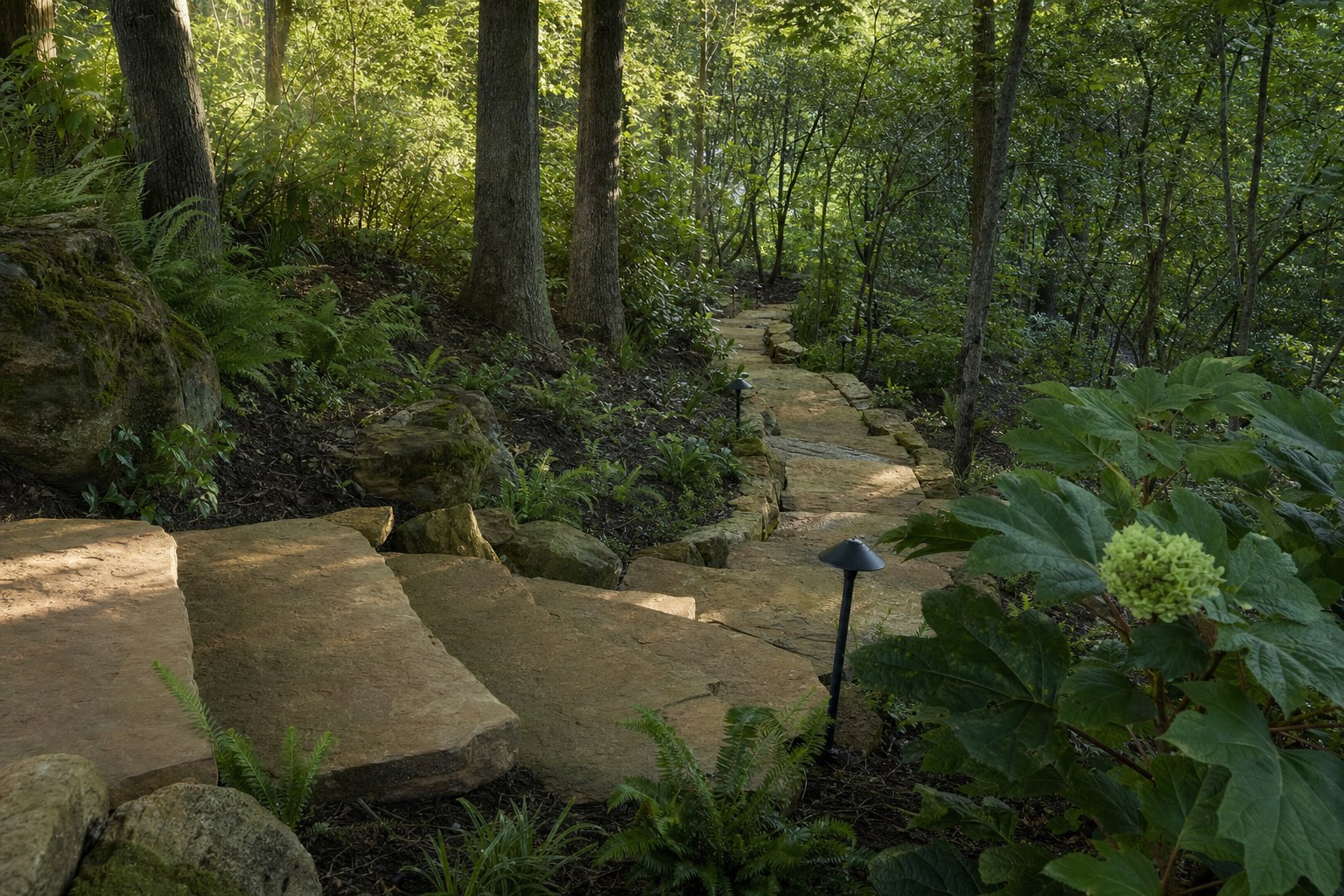 Red Bank · Sandstone steps down a wooded backyard · 2024