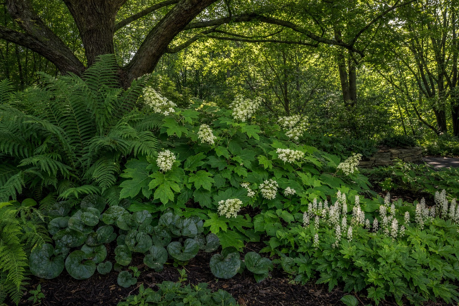 Layered shade planting beneath mature trees