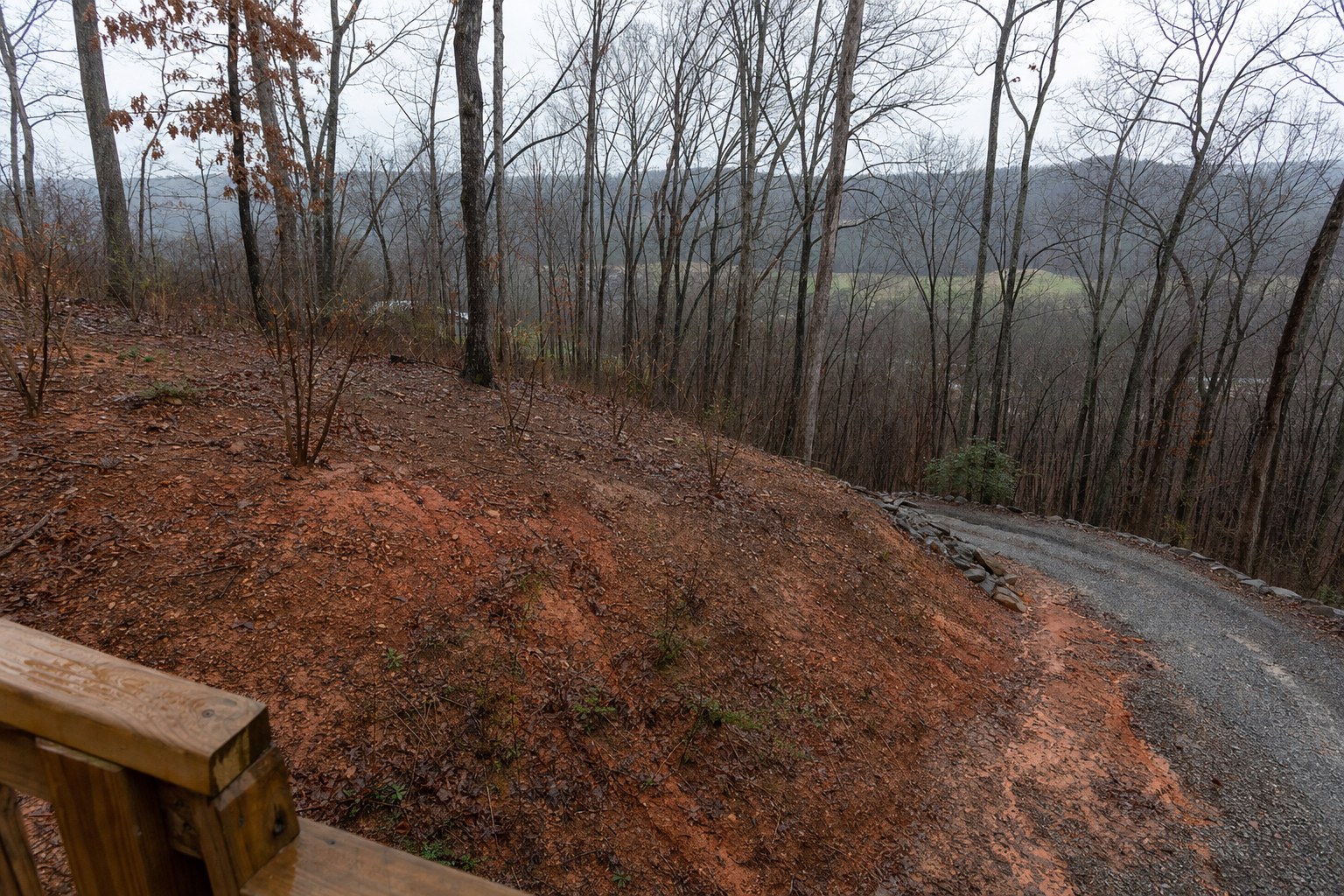 March site visit on bare clay Signal Mountain slope