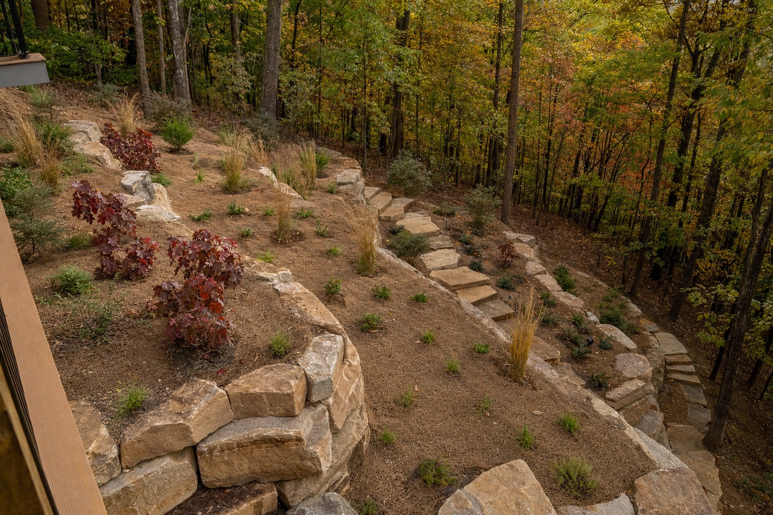 October view from the back deck of new terraces, sandstone steps, young plants, and coir matting